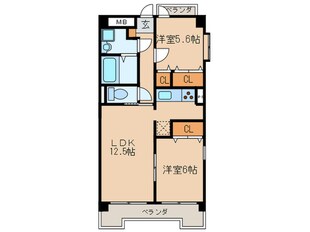 グレイスカーサの物件間取画像